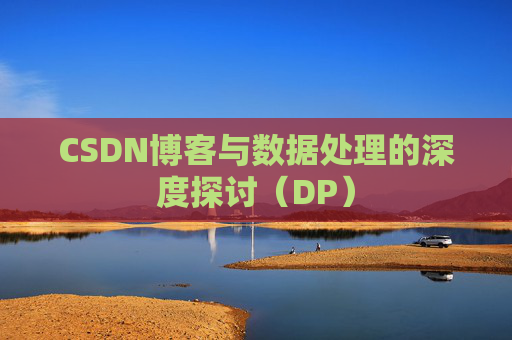 CSDN博客与数据处理的深度探讨（DP）